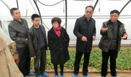 陕西咸阳最新爆料,揭秘咸阳历史文化新发现